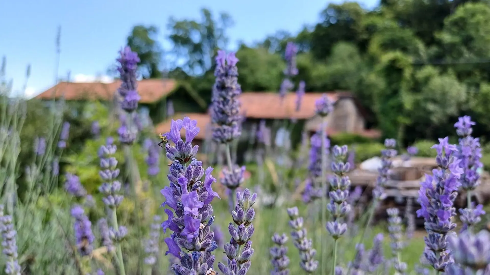 شقة La Stanza Del Bosco Arcumeggia