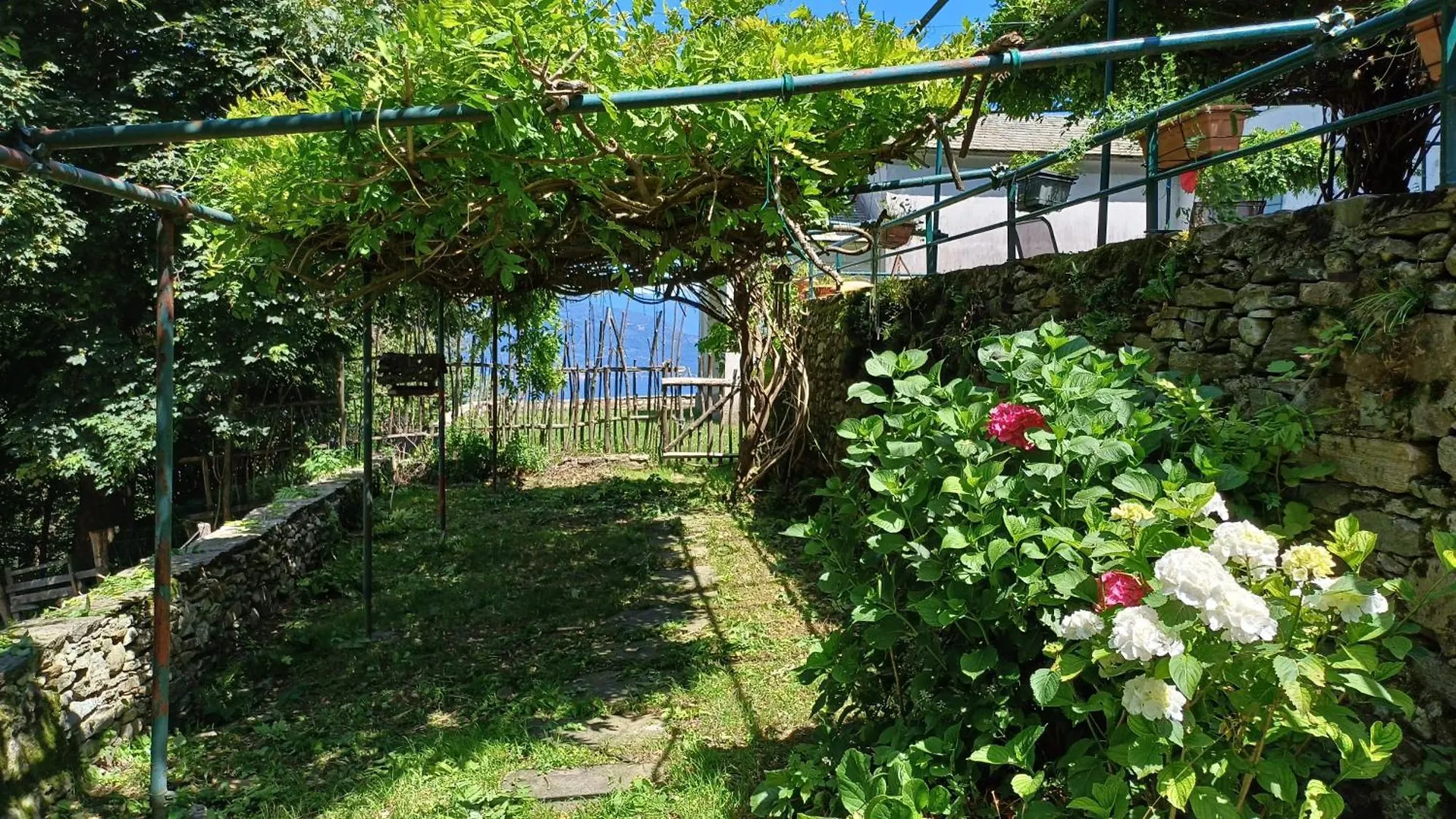 Accommodatie bij particulieren La Stanza Del Bosco Appartement Arcumeggia